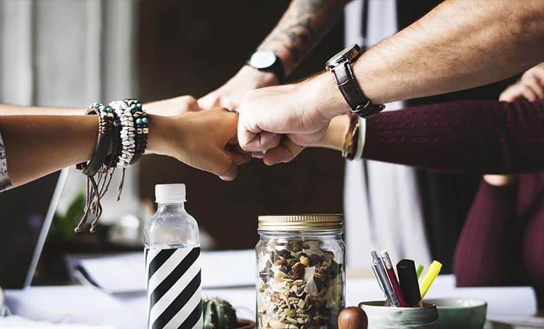 What drives employees to say, stay, and strive