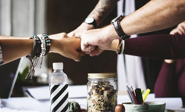 What drives employees to say, stay, and strive